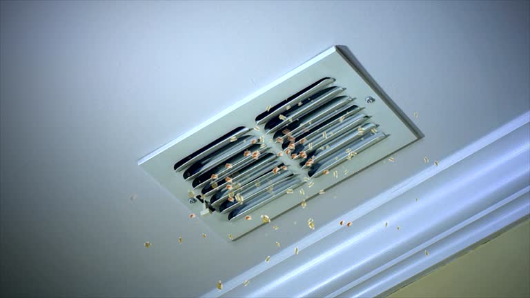 Best Air Duct Cleaning Company Near Me  in Arapahoe, WY
