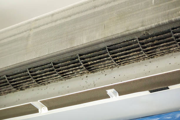 Best Ventilation Cleaning Services  in Arapahoe, WY