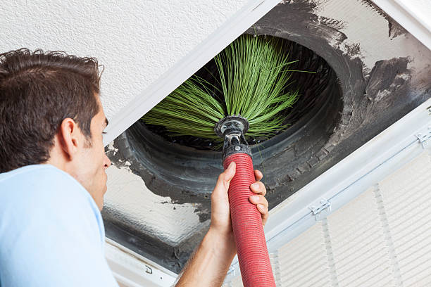 Best Air Duct Cleaning Near Me  in Arapahoe, WY