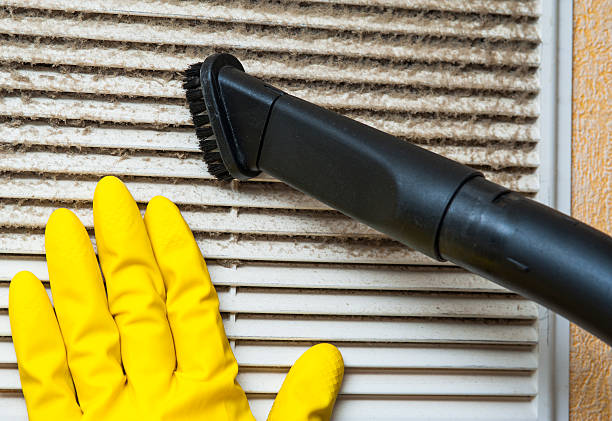 Best Home Air Vent Cleaning  in Arapahoe, WY